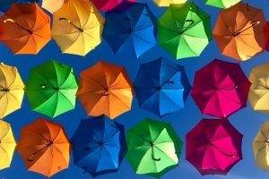 Blog 16 Dynamic Creative Optimization
