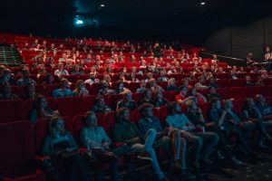 Blog 17 Cinema with audience